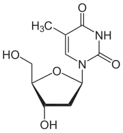 Skeletal formula of thymidine