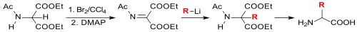 conversion of diethyl acetamidomalonate