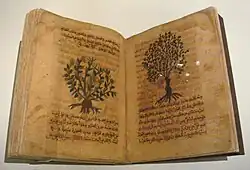 De materia medica in Arabic, Spain, 12th–13th century