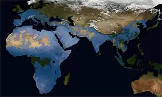 Map showing the extent of the Acheulean