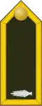 Second Lieutenant