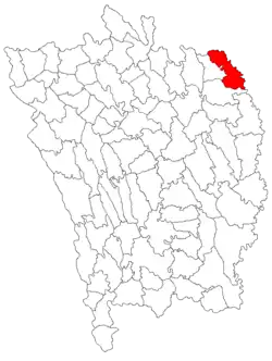 Location in Vaslui County