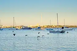 Ducks fly over the water at Matilda Bay during sunset