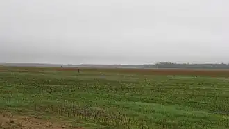 Fields just south of New Haven