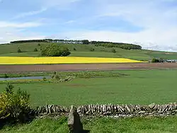 Dunnichen Hill in the present day, seen from Dunnichen Moss, the traditional site of the battle. The hill, which is relatively low, lies in farmland. The summit is covered with a small, copiced birch wood. In the foreground is a dry-stone wall behind which lies a small, modern pond.