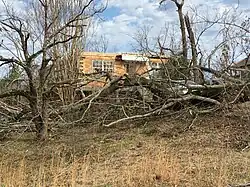 Downed trees in front of a damaged home.