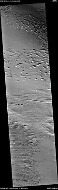 Hyperboreae Undae linear and barchanoid dunes
