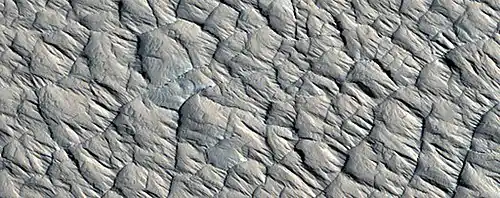 Close, color view of polygonal ridges, as seen by HiRISE under HiWish program