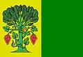 Flag of A Pobra do Brollón