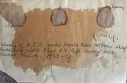 A postcard from Ehud Ben-Yehuda's personal archive