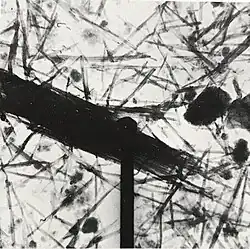 Electron micrograph of palygorskite (Wiersma 1970).