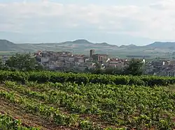 View of Entrena. At foreground its vineyards