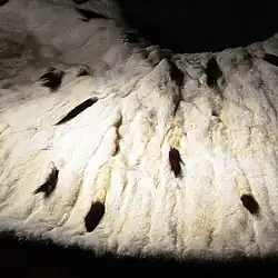 Ermine fur on the Serbian Royal mantle
