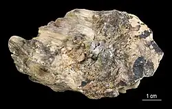 Palygorskite. Estonian Museum of Natural History, 2015.