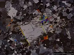 Cordierite from sample CV-142 of the S-type Strathbogie Granite, Australia.