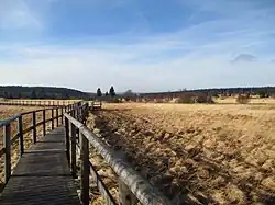 Boardwalk in the "Grande Fagne"