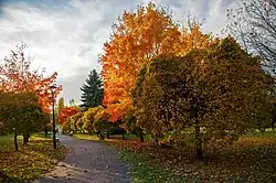 Autumn in Środula Park