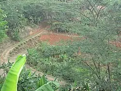 Farmland in La Torre barrio