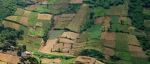 File:Fields in Quetzaltenango.jpg