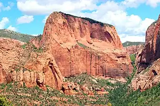 Sandstone giant, Nagunt Mesa, Kolob Canyon, UT.jpg