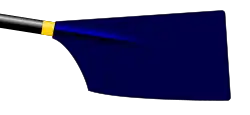 Image showing the rowing club's blade colours