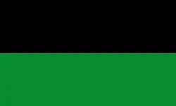 Flag of Mahaica-Berbice