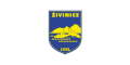 Flag of Živinice
