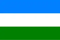 Flag of Boquerón Department