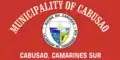 Flag of Cabusao