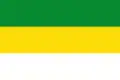 Flag of Cajamarca, Tolima
