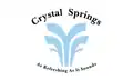 Flag of Crystal Springs, Mississippi