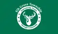 Flag of Elk Grove Township