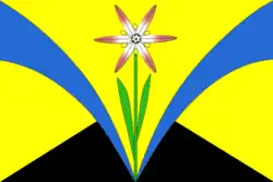 Flag of Iskitimsky District