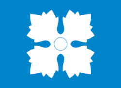 Flag of Skjåk Municipality