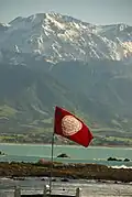 The flag of the Historic Places Trust flying outside Fyffe House in Kaikōura
