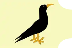 A yellow flag featuring a Cornish chough was used by the Newquay unit of the Cornwall Home Guard during World War II (the unit's nickname was "The Choughs")[59][60][61]