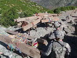 Soldiers looking at donkeys carrying lumber
