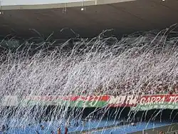 Fluminense's supporters