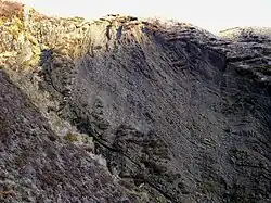 Folds in the Rock Strata high up in the Dob's Linn Gorge