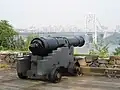 Historic Cannon