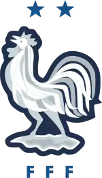 Shirt badge/Association crest