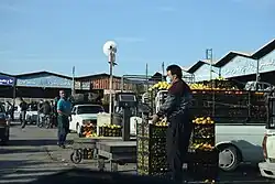 Imam Hossein fruit and vegetable field