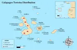 A map of the Galápagos with labels for names of the islands and their native species of tortoises.