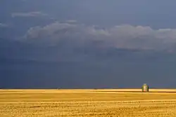 Open prairie outside Weyburn