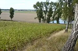 Góry Wysockie (Wysockie Hills)