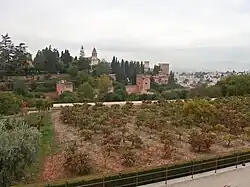 Las Huertas, the market gardens on the terraced hillside below the Generalife