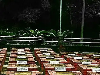 Belayet's grave at Kullapathar Shaheed Memorial (front and center)