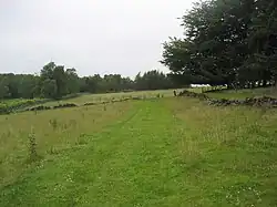 Woodland owned by the Weston Estate, including an award-winning Clay Pidgeon shooting ground.