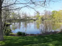 Griffin Pond in May 2021