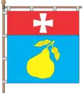 Flag of Hrushvytsia Persha